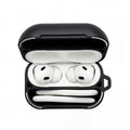 EarGear™ Case